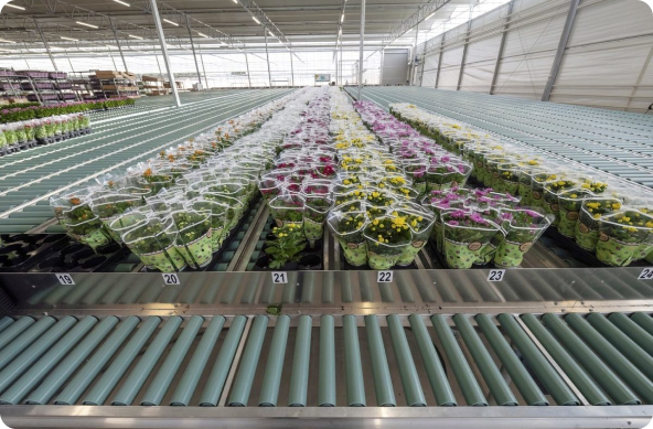 What makes us special<em>.</em>